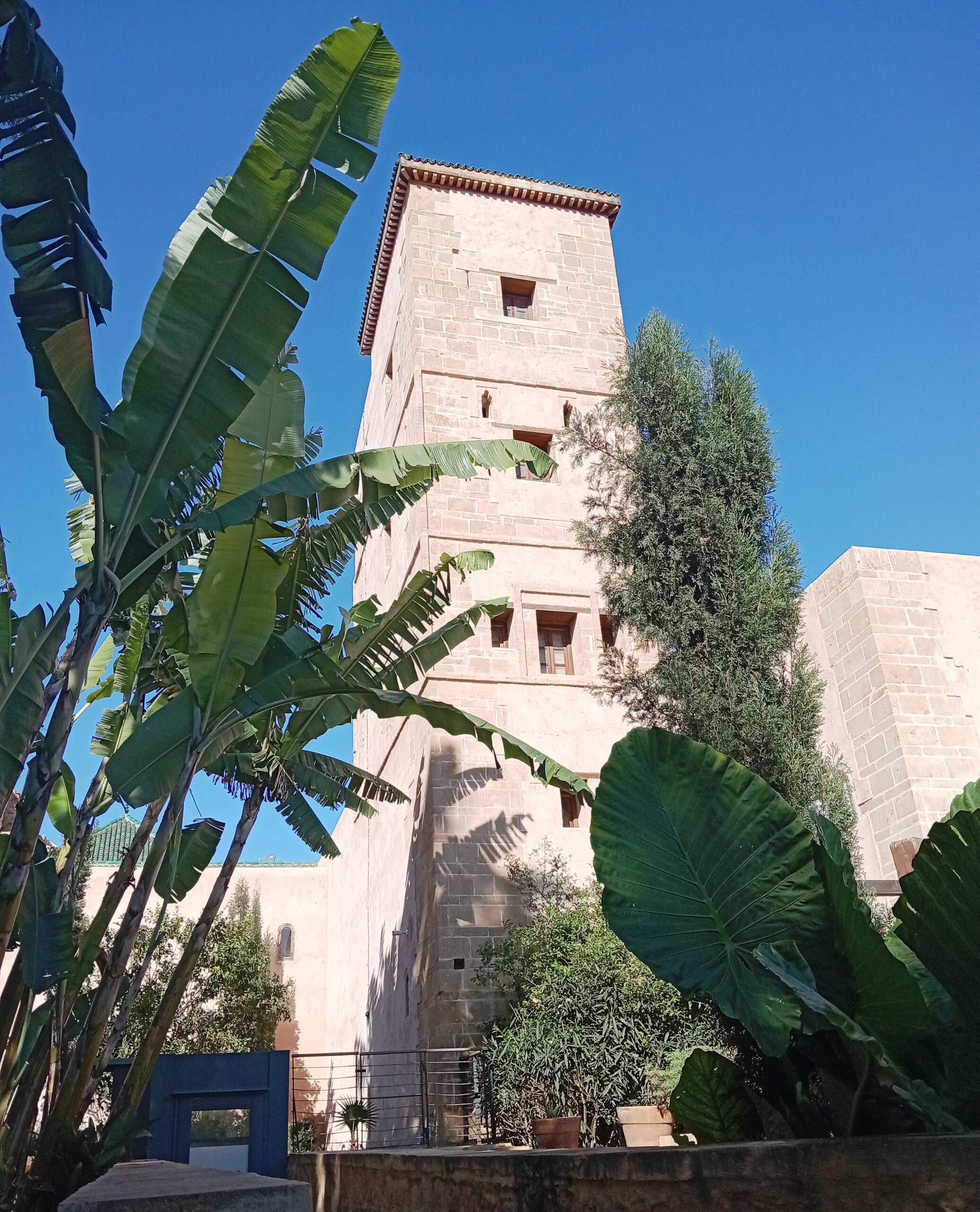 الرباط عاصمة الكتاب لسنة 2026